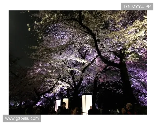 大阪樱花与仙台维加的激烈对决谁能笑到最后